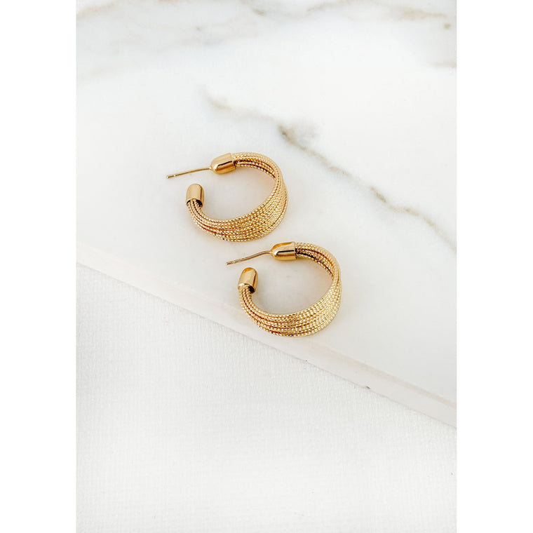 Envy Women’s Jewellery Earrings |4356/GD/E/F