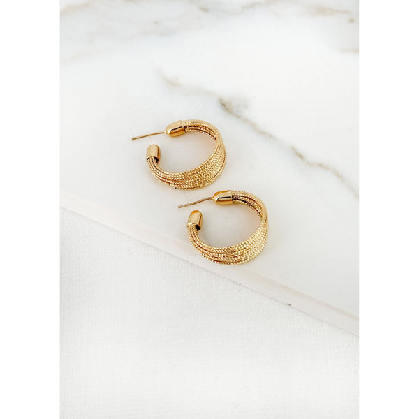 Envy Women’s Jewellery Earrings |4356/GD/E/F