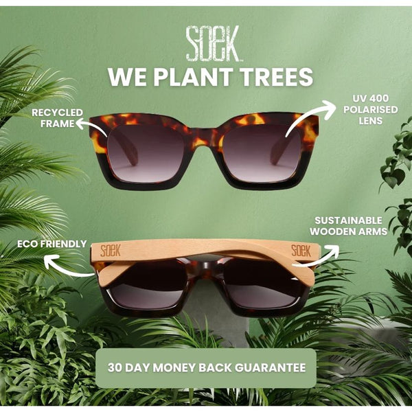 Soek Women’s Sunglasses Lila Grace Ivory Tortoise - Brown Lens - White Maple Arms