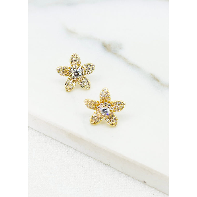 Envy Women’s Jewellery Earrings |4624/GD/E/E