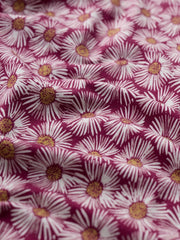 Close-up of fabric with a floral pattern featuring white flowers on a red background.